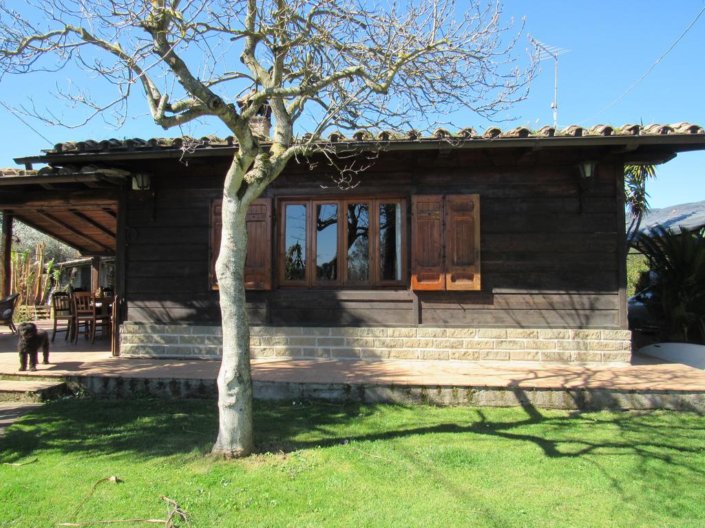 The Lake Chalet Bracciano (Rome) Exterior foto